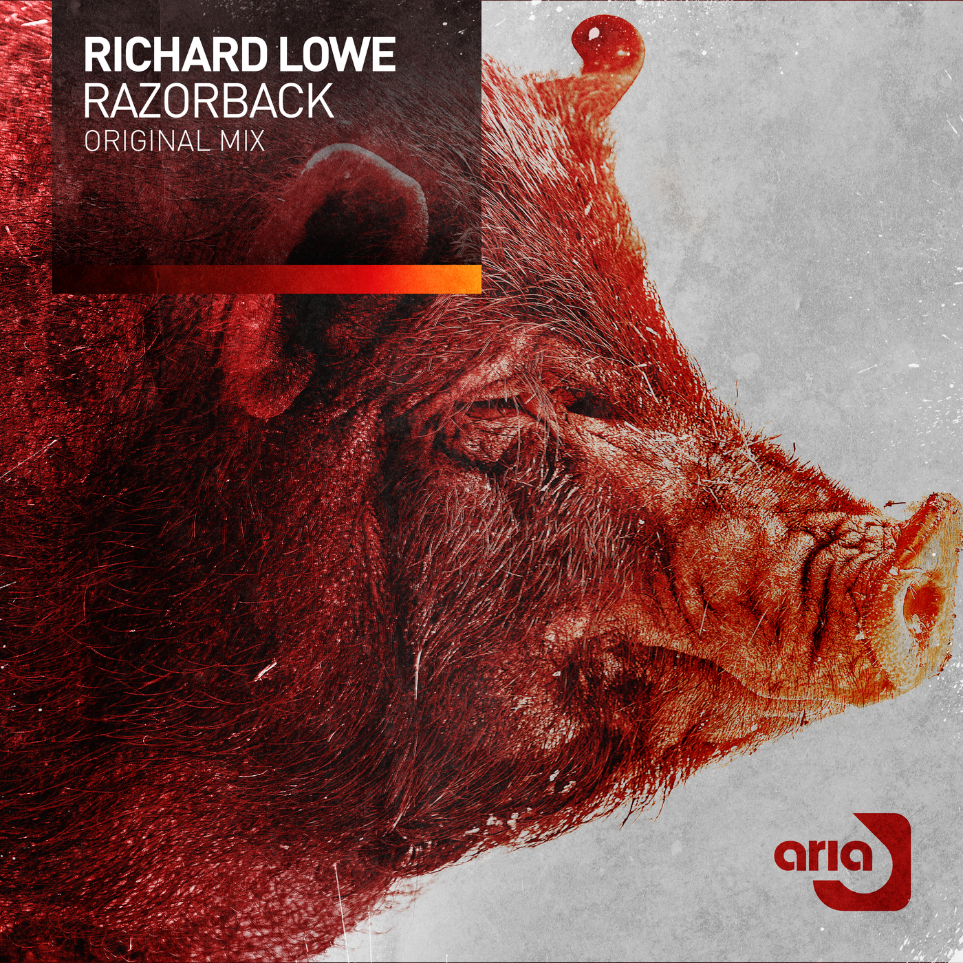 Richard Lowe — Razorback